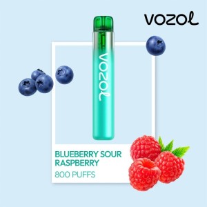 Vozol Neon 800 Vape μιας χρήσης 2ml 2% mg 800 puffs Blueberry Sour Raspberry