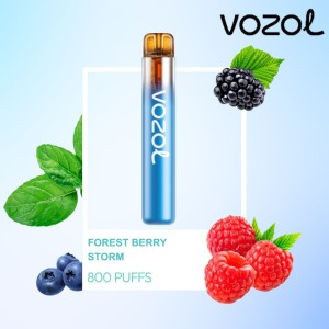 Vozol Neon 800 Vape μιας χρήσης 2ml 2% mg 800 puffs Forest Berry Storm